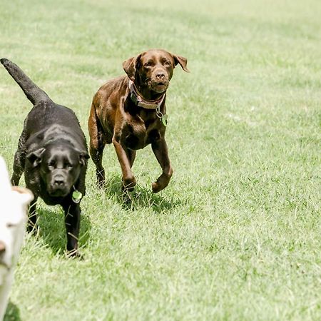 Willa Balmoral Barn Noosaville Zewnętrze zdjęcie